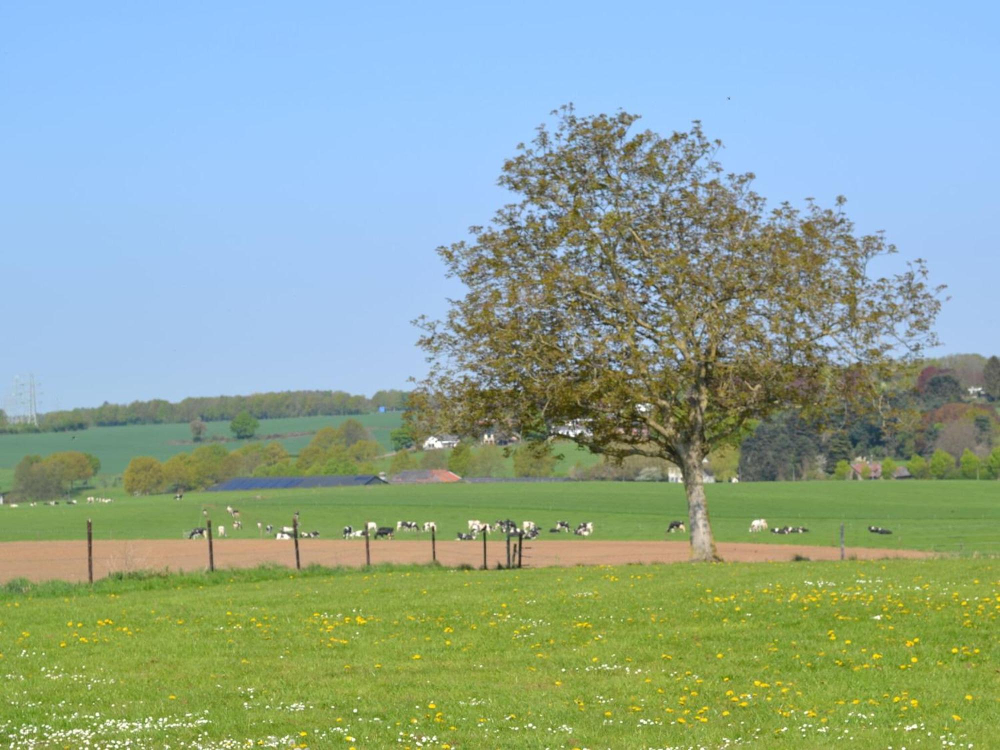 KlimmenAttractive Farmhouse In South Limburg With Terrace别墅 外观 照片